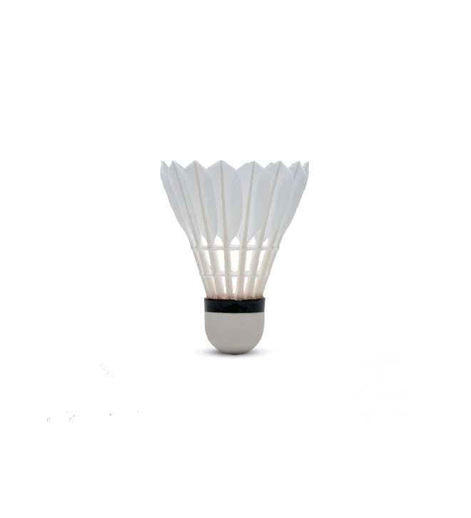 SHUTTLECOCK